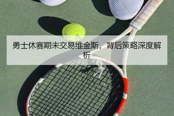 勇士休赛期未交易维金斯，背后策略深度解析（ayxapp）